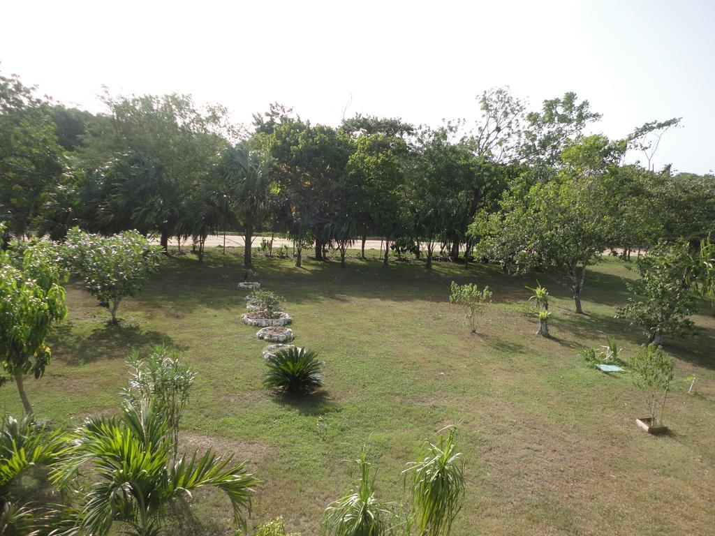River Park Inn San Ignacio Exterior foto